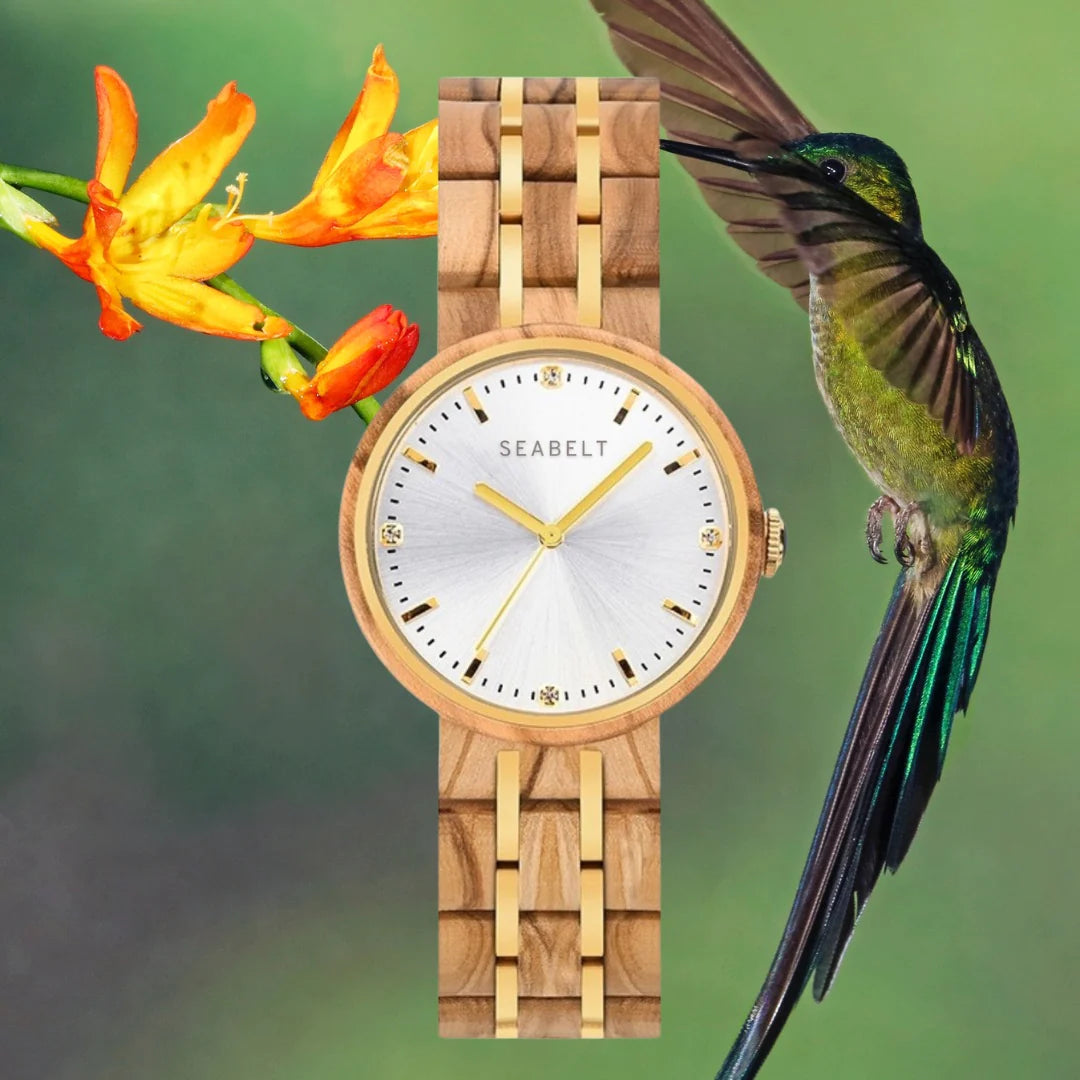 Relojes Ecoamigables
