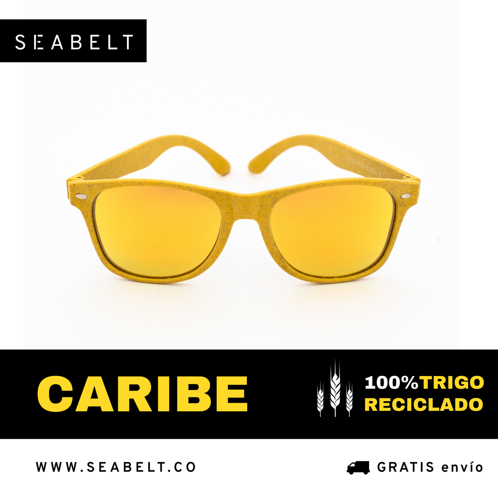 SEABELT | Gafas de trigo